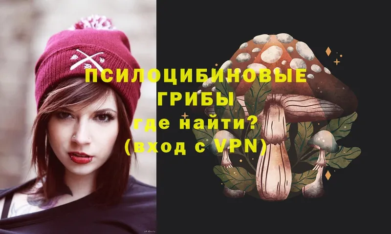 Псилоцибиновые грибы Magic Shrooms  Подпорожье 